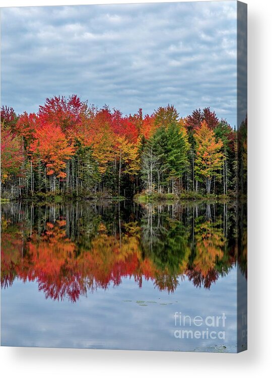 Maine Acrylic Print featuring the photograph Breath of Autumn by Karin Pinkham