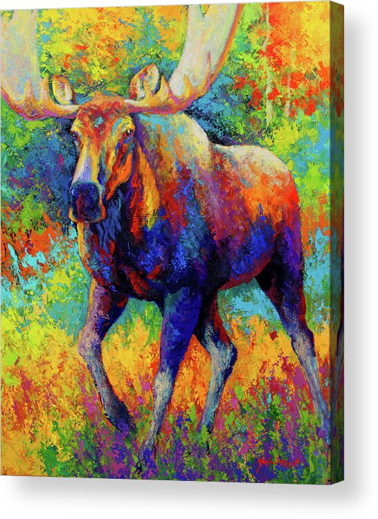 Bull Moose Acrylic Print featuring the painting Bull Moose by Marion Rose