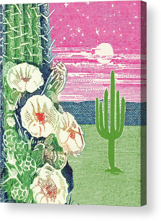 Bloom Acrylic Print featuring the drawing Cactus Desert Scene by CSA Images