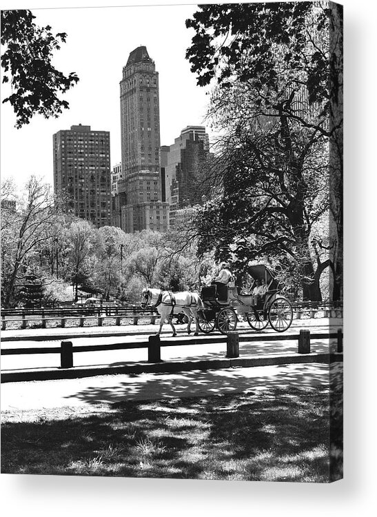 Horse-drawn Carriage In Central Park Acrylic Print featuring the photograph Carriage by Chris Bliss