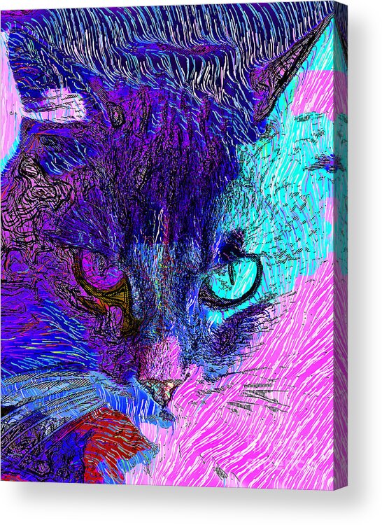 Wingsdomain Acrylic Print featuring the photograph Cat Scratch Fever 20190204z by Wingsdomain Art and Photography