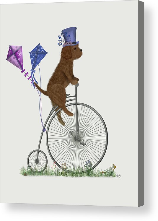 Bicycle Acrylic Print featuring the painting Cavapoo Brown On Penny Farthing by Fab Funky