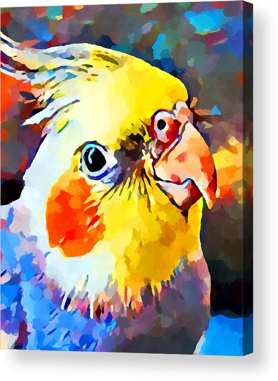Animal Acrylic Print featuring the painting Cockatiel 3 by Chris Butler