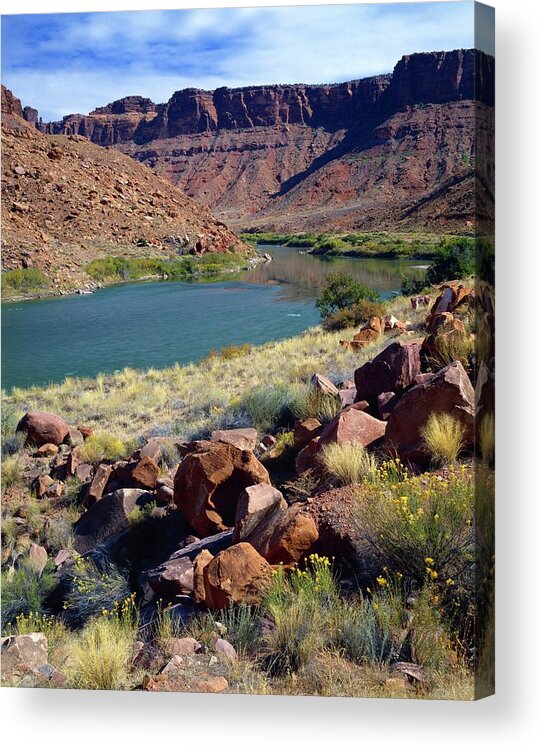 Scenics Acrylic Print featuring the photograph Colorado River by Design Pics/david L. Brown