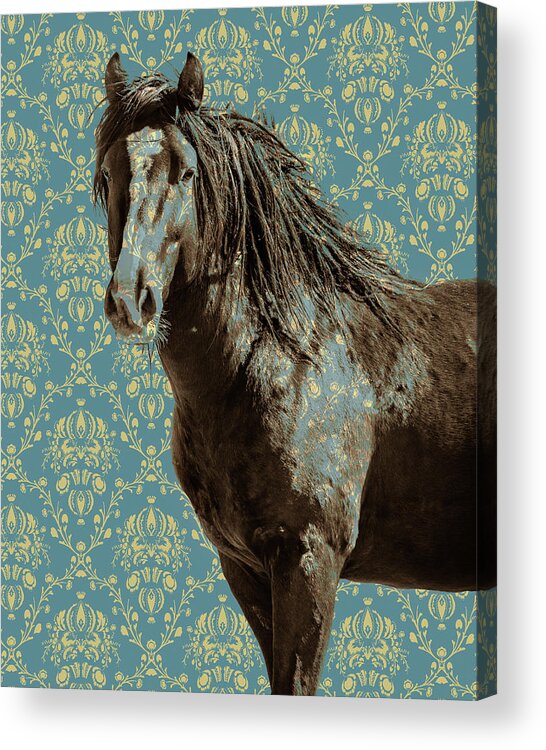 Horse Acrylic Print featuring the photograph Crazy Blue 2 by Mary Hone