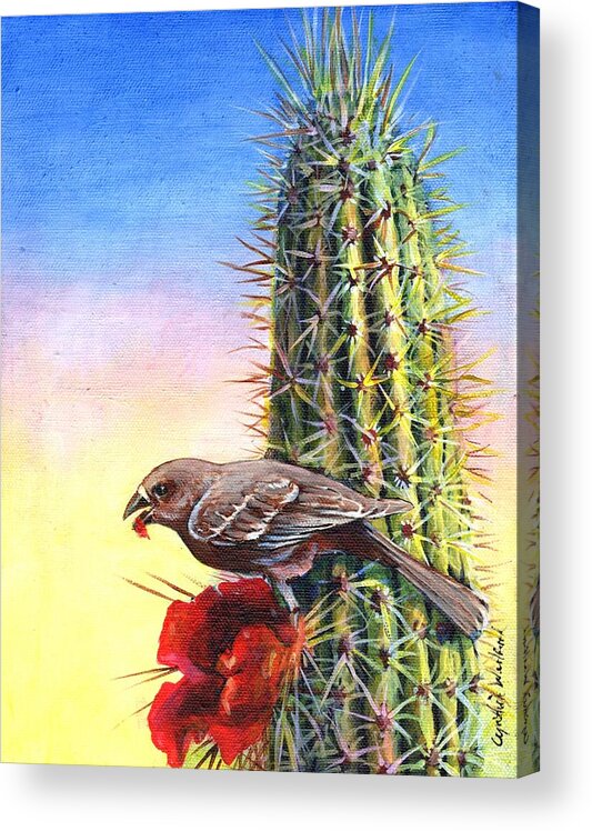 Desert Wren Acrylic Print featuring the painting Dessert in the Desert by Cynthia Westbrook
