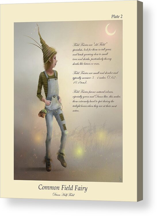 Fairy Acrylic Print featuring the painting Field Fairy by Joe Gilronan
