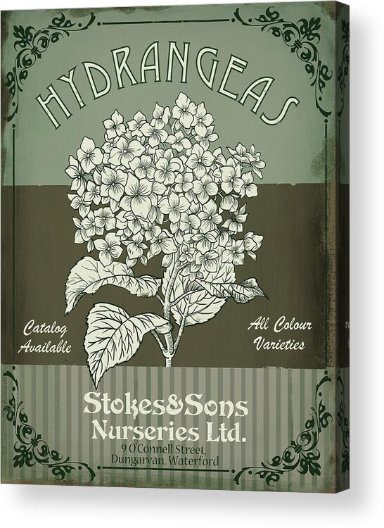 Hydrangeas
Flower Acrylic Print featuring the mixed media Flower Shop II by Fiona Stokes-gilbert