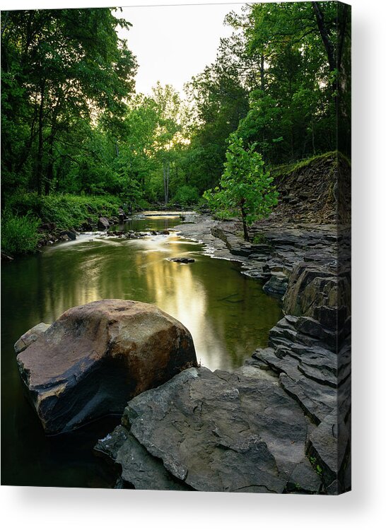 Ferry Acrylic Print featuring the photograph Golden Creek by Michael Scott