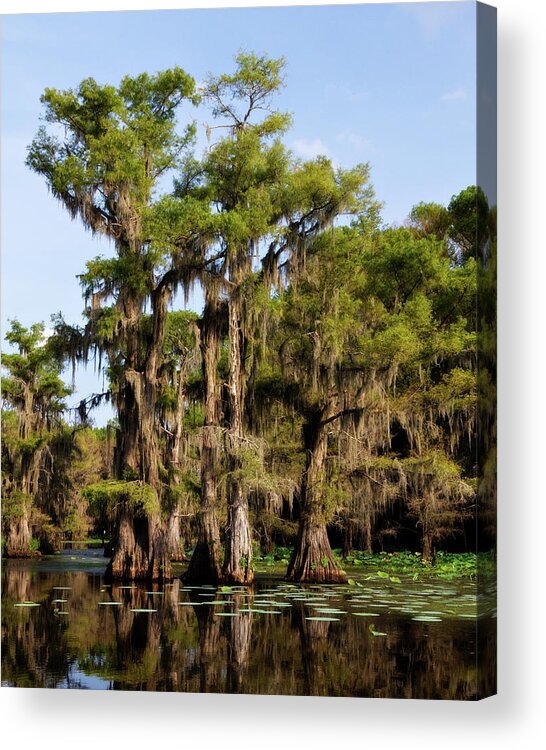 Spanish Moss Acrylic Print featuring the photograph Grace of Caddo by Lana Trussell