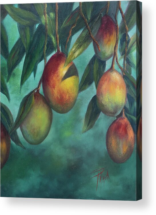 Mangos Acrylic Print featuring the painting Florida Mangos by Lynne Pittard
