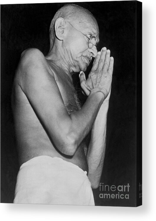 Mature Adult Acrylic Print featuring the photograph Mahatma Gandhi Praying by Bettmann
