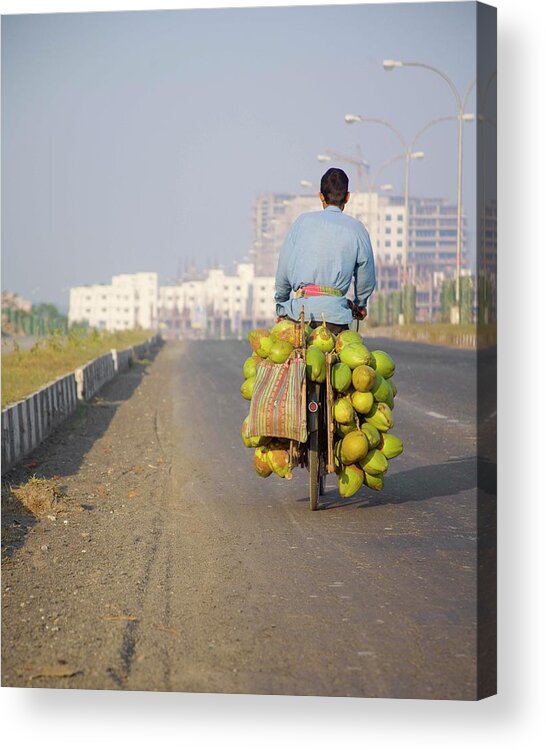Working Acrylic Print featuring the photograph Man On Bicycle With Coconuts by Ashok Sinha