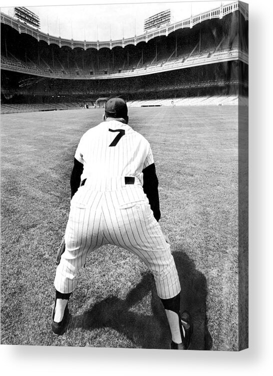 Working Acrylic Print featuring the photograph Mickey Mantle Works Out At Yankee by New York Daily News Archive