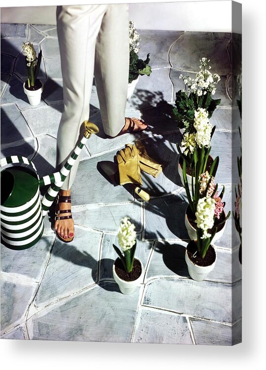 Fashion Acrylic Print featuring the photograph Model In Joyce Sandals By Plants by Horst P. Horst