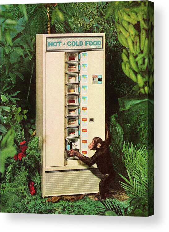 Animal Acrylic Print featuring the drawing Monkey at a Vending Machine in the Jungle by CSA Images