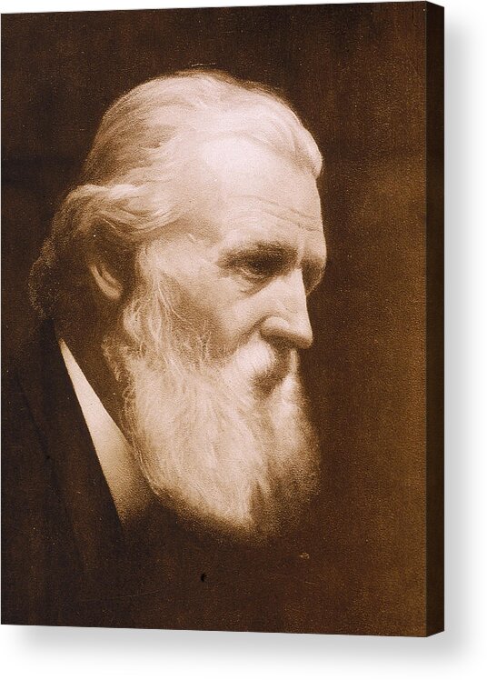 One Man Only Acrylic Print featuring the photograph Naturalist John Muir by Hulton Archive