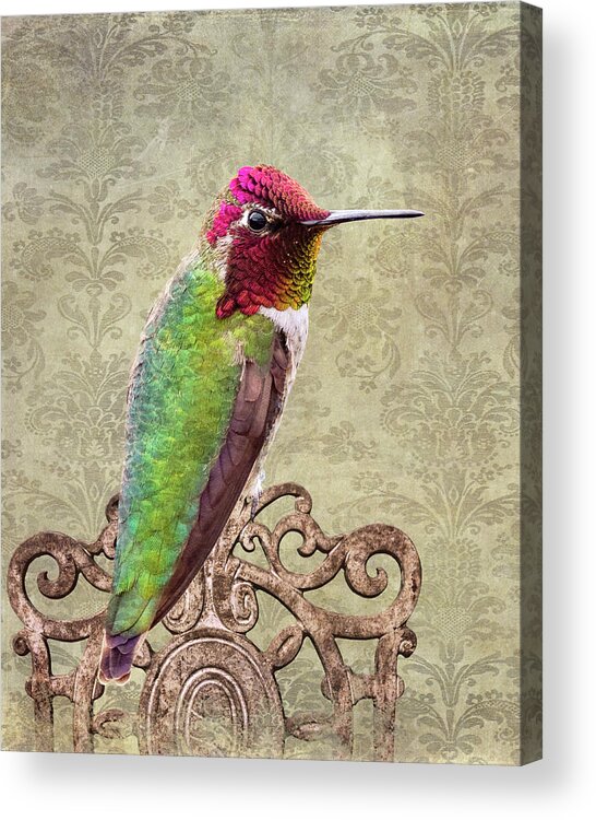 Birds Acrylic Print featuring the photograph Not too shabby by Mary Hone