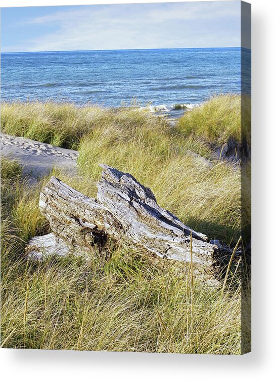 Jean Klock Acrylic Print featuring the photograph Ode to Jean by Kathi Mirto