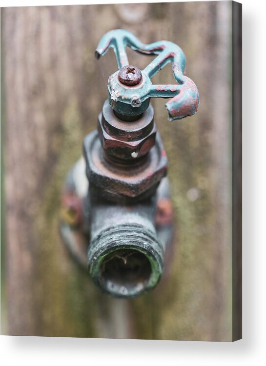 Spout Acrylic Print featuring the photograph Macro Photography - Gardening by Amelia Pearn