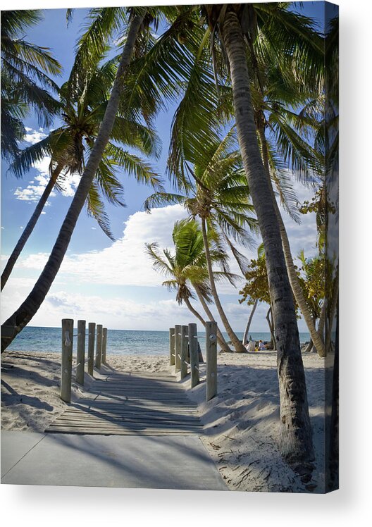 Eco Tourism Acrylic Print featuring the photograph Path To The Beach by Box5