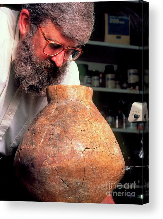 Mcgovern Acrylic Print featuring the photograph Patrick Mcgovern & A Jar Which Held Ancient Wine by David Parker/science Photo Library