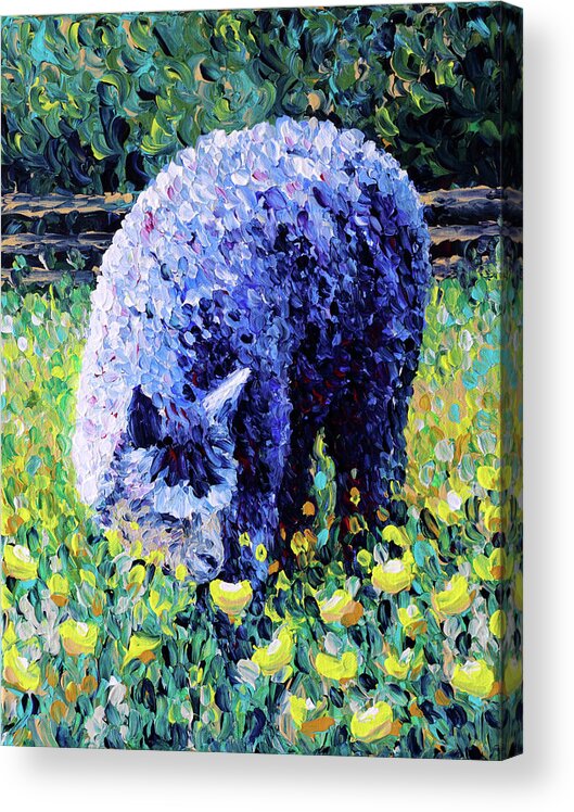 Alpaca Acrylic Print featuring the painting Piccadilly by Bari Rhys