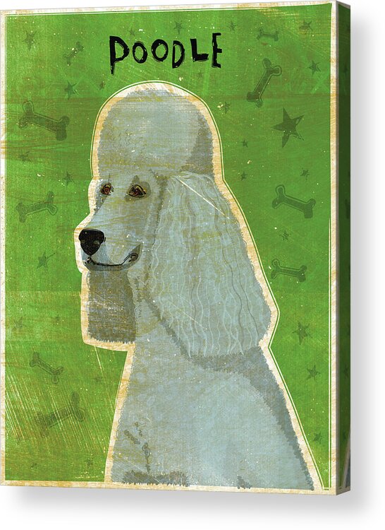 Poodle (grey) Acrylic Print featuring the digital art Poodle (grey) by John W. Golden