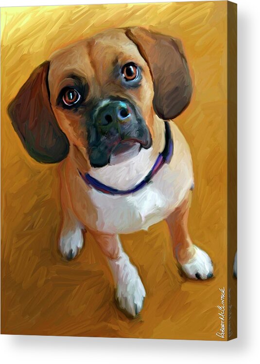 Pets Acrylic Print featuring the painting Puggle Bright Delight by Robert Mcclintock