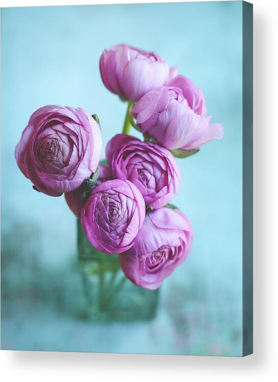 Flower Still Life Acrylic Print featuring the photograph Ranunculus One by Lupen Grainne
