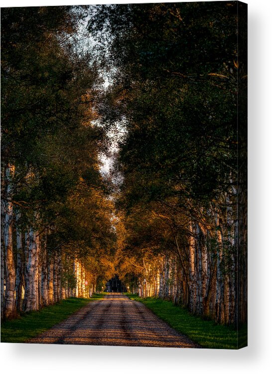 Road Acrylic Print featuring the photograph Road by Kleingordon25