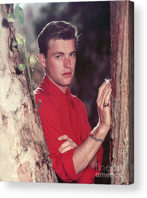 Young Men Acrylic Print featuring the photograph Robert Wagner Smoking Beside Tree by Bettmann