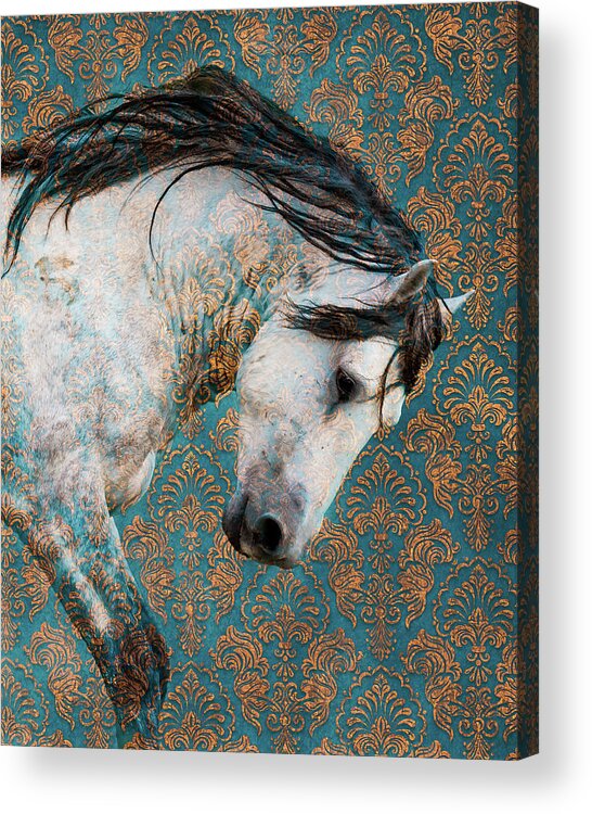 Wild Horses Acrylic Print featuring the photograph Royalty by Mary Hone