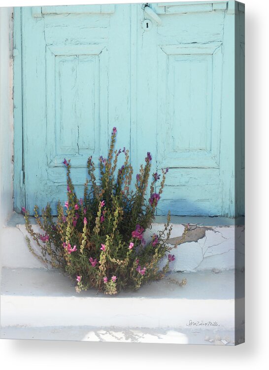 Blossoms Acrylic Print featuring the photograph Santorini I by Sara Zieve Miller