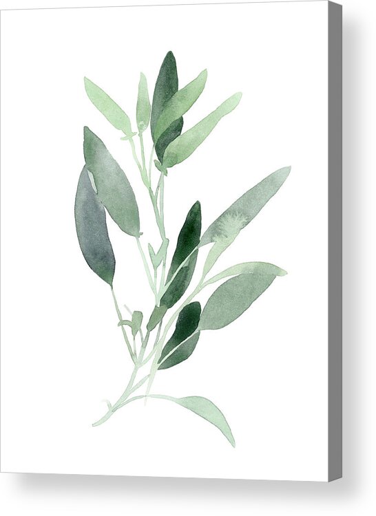 Abstract Acrylic Print featuring the painting Simple Sage IIi by Emma Scarvey