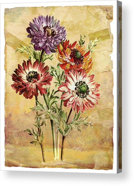 Floral Acrylic Print featuring the digital art Summertime by Grace Iradian