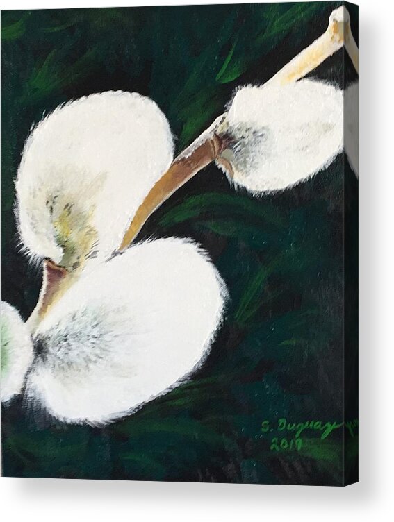Pussy Acrylic Print featuring the painting Sunlit Pussy Willow by Sharon Duguay