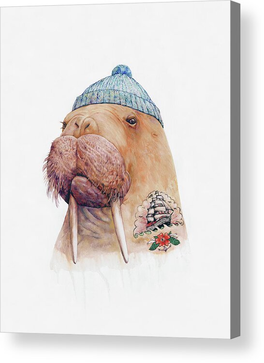 Tattoo Acrylic Print featuring the painting Tattooed Walrus by Animal Crew
