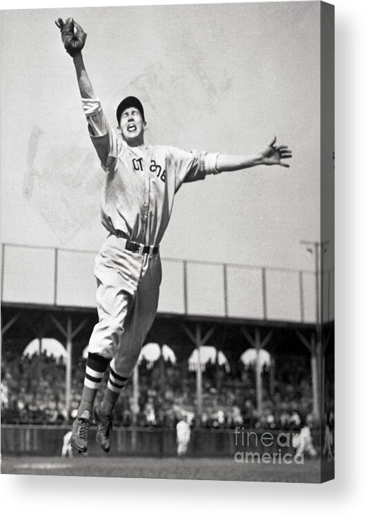 People Acrylic Print featuring the photograph Ted Williams Jumping To Catch Baseball by Bettmann