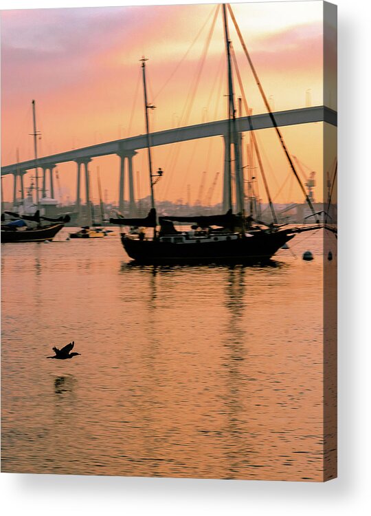 Bird Acrylic Print featuring the photograph The Early Bird by Local Snaps Photography