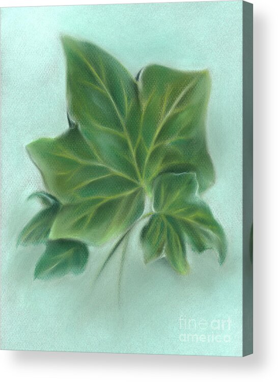 Botanical Acrylic Print featuring the painting Three Green Ivy Leaves by MM Anderson