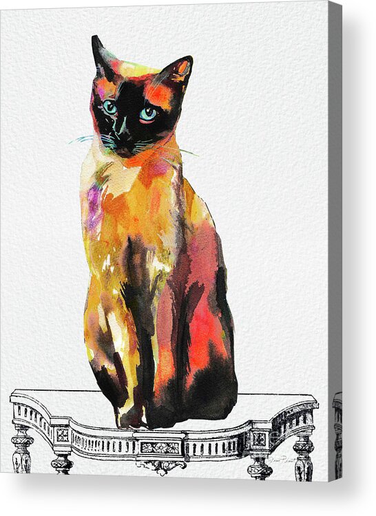 Cat Acrylic Print featuring the painting Watercolor Cat on Table C by Jean Plout