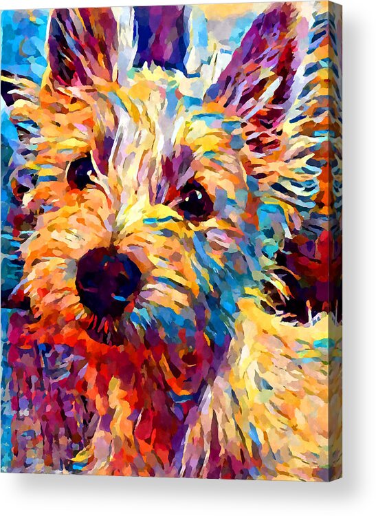 Dog Acrylic Print featuring the painting Westie 2 by Chris Butler