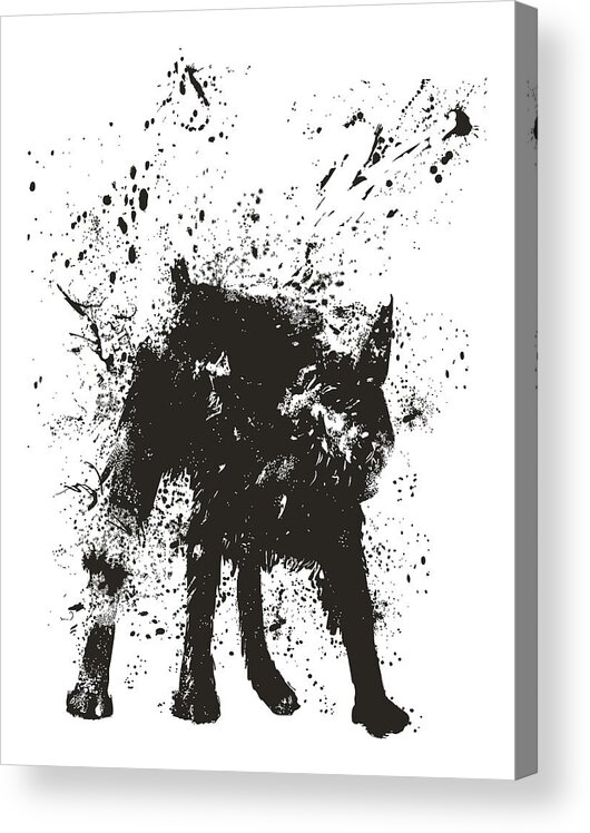 Dog Acrylic Print featuring the painting Wet dog by Balazs Solti