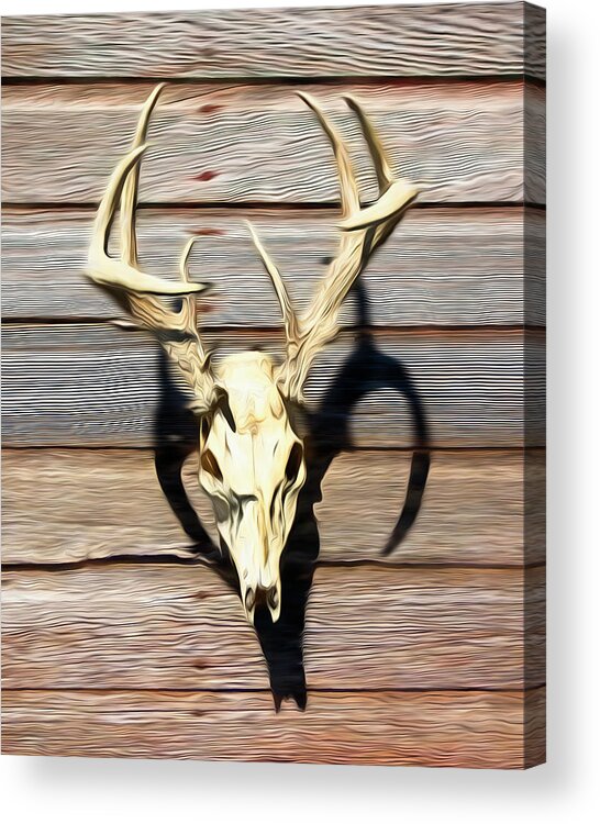 Kansas Acrylic Print featuring the photograph White-tail Deer 005 by Rob Graham