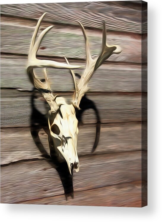 Kansas Acrylic Print featuring the photograph White-tail Deer 006 by Rob Graham