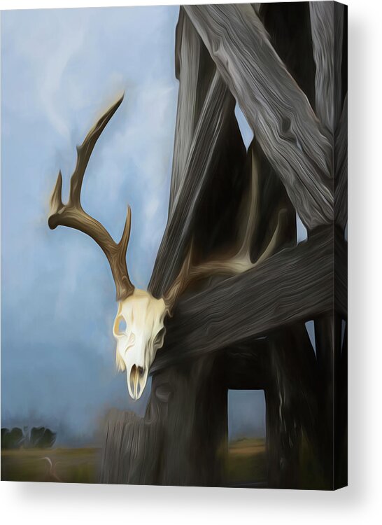 Kansas Acrylic Print featuring the photograph White-tail Deer 014 by Rob Graham