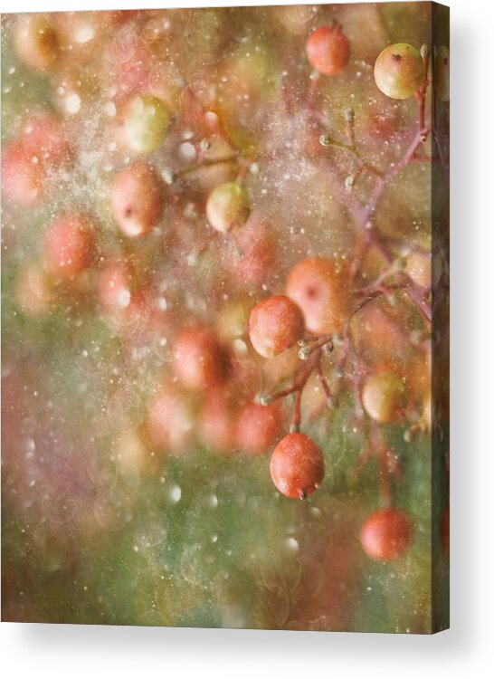 Merry Christmas Acrylic Print featuring the photograph Winter-time by Delphine Devos