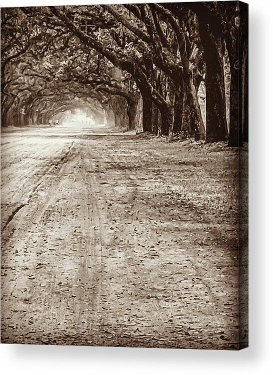 Isle Of Hope Acrylic Print featuring the photograph Wormsloe by Donna Thomas
