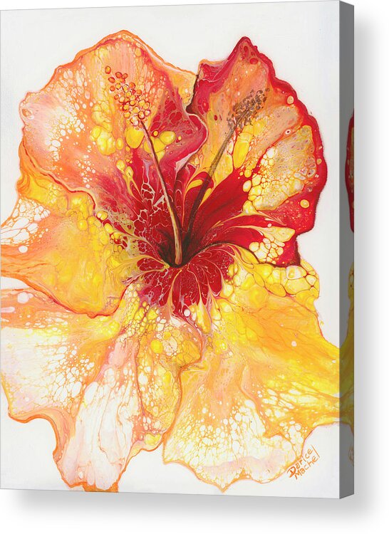 Hibiscus Acrylic Print featuring the painting Yellow and Red Hibiscus by Darice Machel McGuire